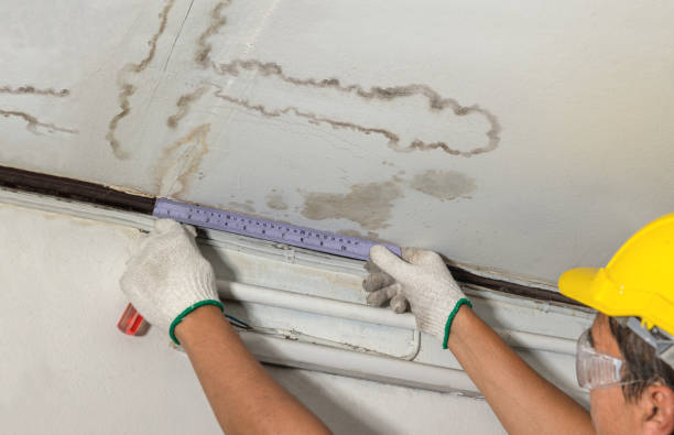 Reliable Flood Cleanup contractor in Wilsonville, OR by Water Damage Irwin